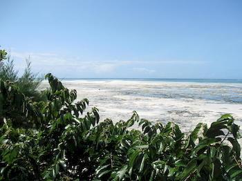 Zanzibar Rock Resort Pongwe Eksteriør bilde